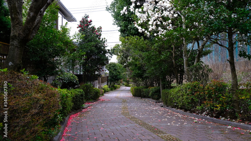 道 道