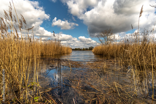 a wondeful lake in saxony  germany