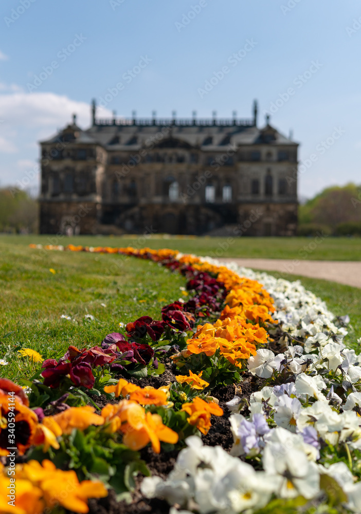 Spring vibes in Dresden, Palais Großer Garten, saxony, germany