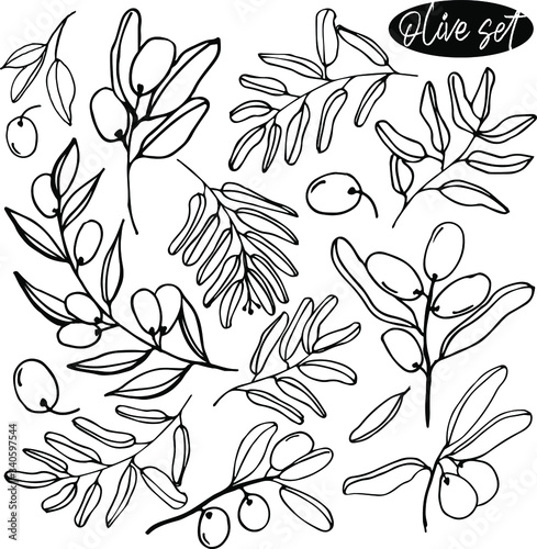 Olives set of elements with olive branches and fruits for Italian, greek or turkish cuisine design or extra virgin oil food or cosmetic product packaging wrapper. Hand drawn Illustration in vector.