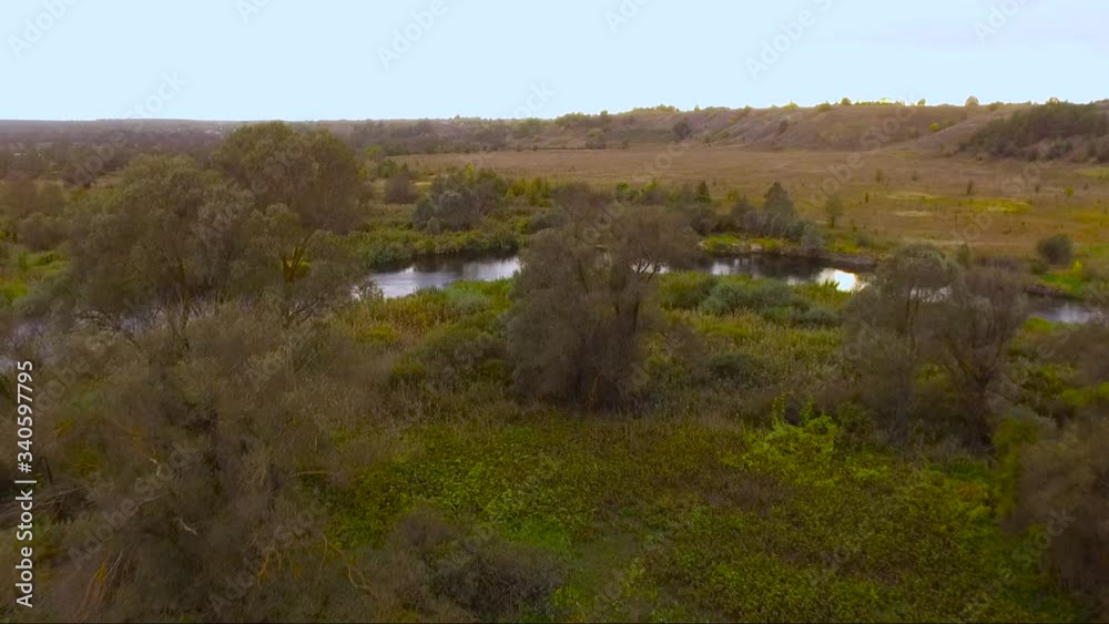 flying over trees in a forest with a river flying over trees in a forest with a river