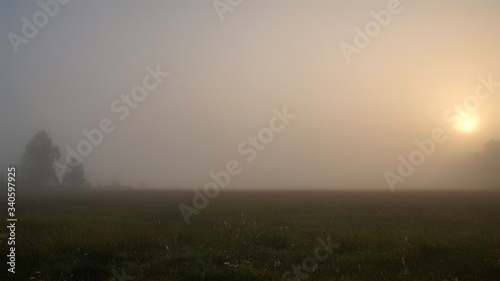 Gradient sunrise in the autumn fog © Piotr