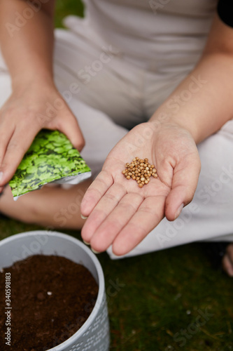 woman sows herbs in a pot. the model spills the seeds onto her hand