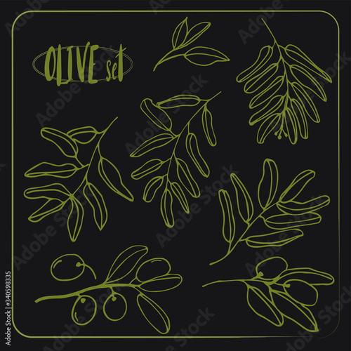 Olives set of elements with olive branches and fruits for Italian, greek or turkish cuisine design or extra virgin oil food or cosmetic product packaging wrapper. Hand drawn Illustration in vector.