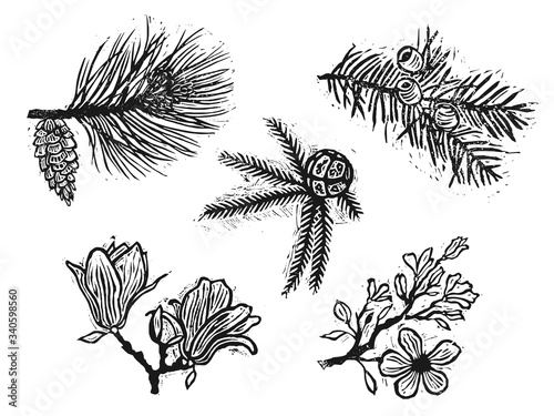 linocut stamps of trees, sakura, magnolia, thousand berry, pine, cypress, ginkgo, linden and other