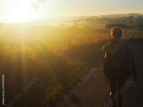 Pilgrim and bright morning sun and beautiful agricultural landscape, Camino de Santiago, Way of St. James, Journey from Olveiroa to Negreira, Fisterra-Muxia way, Spain © Mithrax