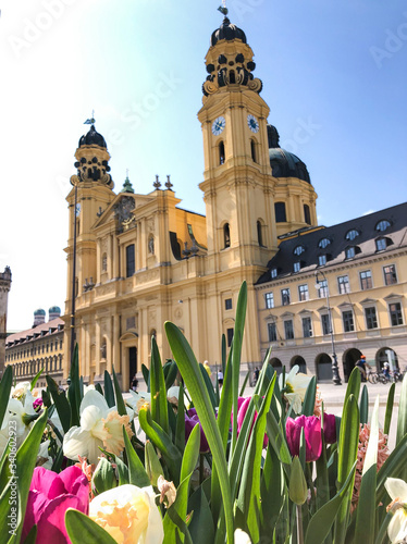 Gelbe Glockentürme von Theatinerkirche auf fast leerem Odeonsplatz in Muenchen, Deutschland mit blauem Himmel und weißen Wolken und Blumen im Sommer photo