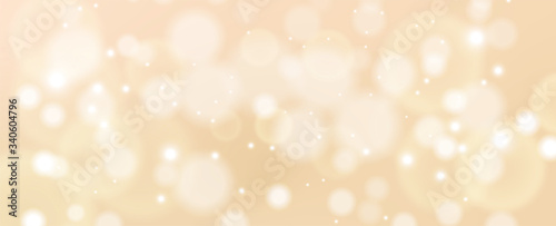 shiny bokeh light copy spac...