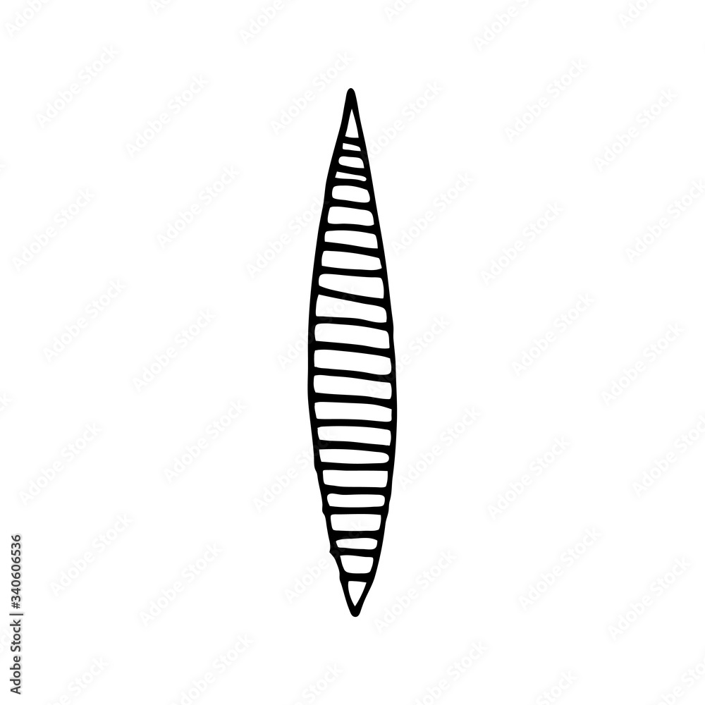 Black and white leaf of a plant, drawn by hand.