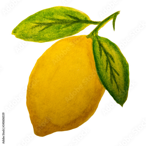 Watercolor drawing of a yellow lemon on a branch with green leaves. Ripe juicy citrus isolated on white background