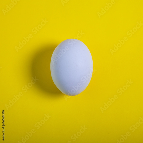 white chicken egg on a yellow background