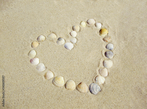 A heart made of seashells on the sandy beach