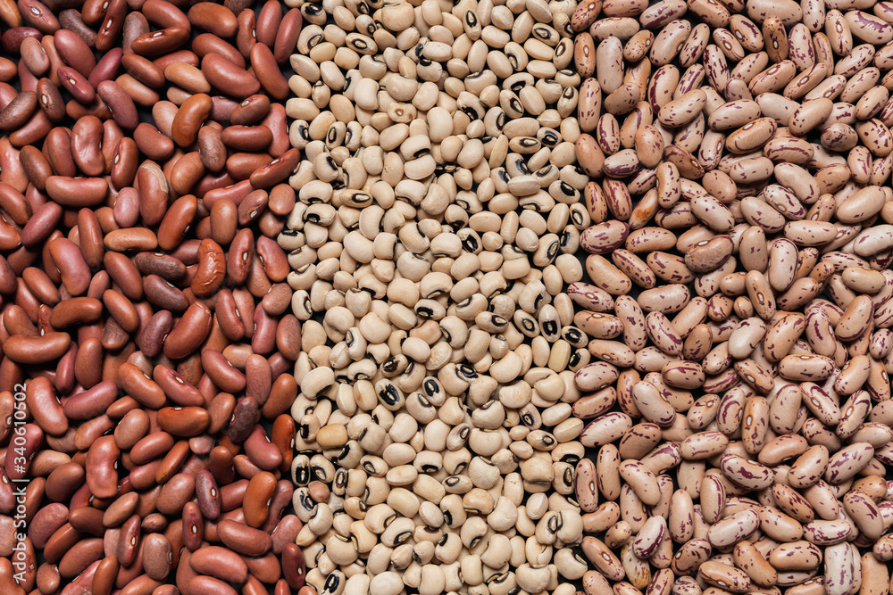 close up of assortment beans in line close up of assortment beans in line