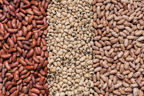 close up of assortment beans in line