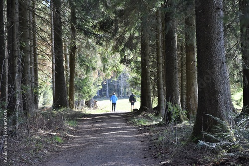 Waldweg