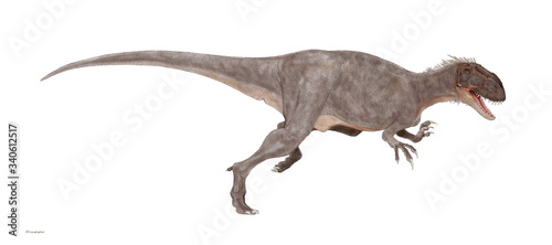 アフロベナトルとは、ニジェールで発見されたジュラ紀中期の獣脚類メガロサウルス科の恐竜である。全長は約7.5メートルで肉食。名前の意味は、「アフリカの狩人」。骨格はジュラ紀後期のアロサウルスと似ているが、つくりは全体的にきゃしゃである。 頭骨はアロサウルスに比べて上下に低く、前後に長い。また眼の上の隆起がごく小さい。  © Mineo