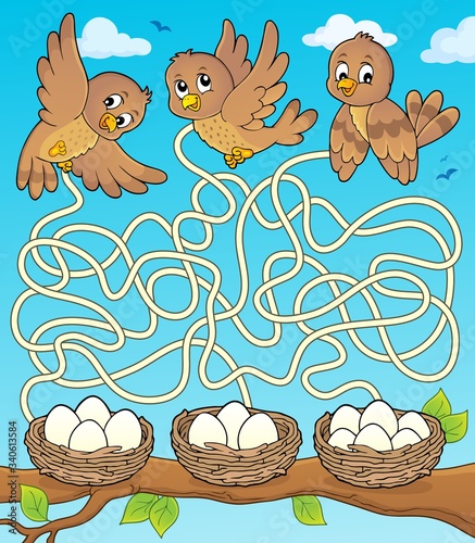 Maze 34 with birds and nests