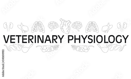 veterinary physiology