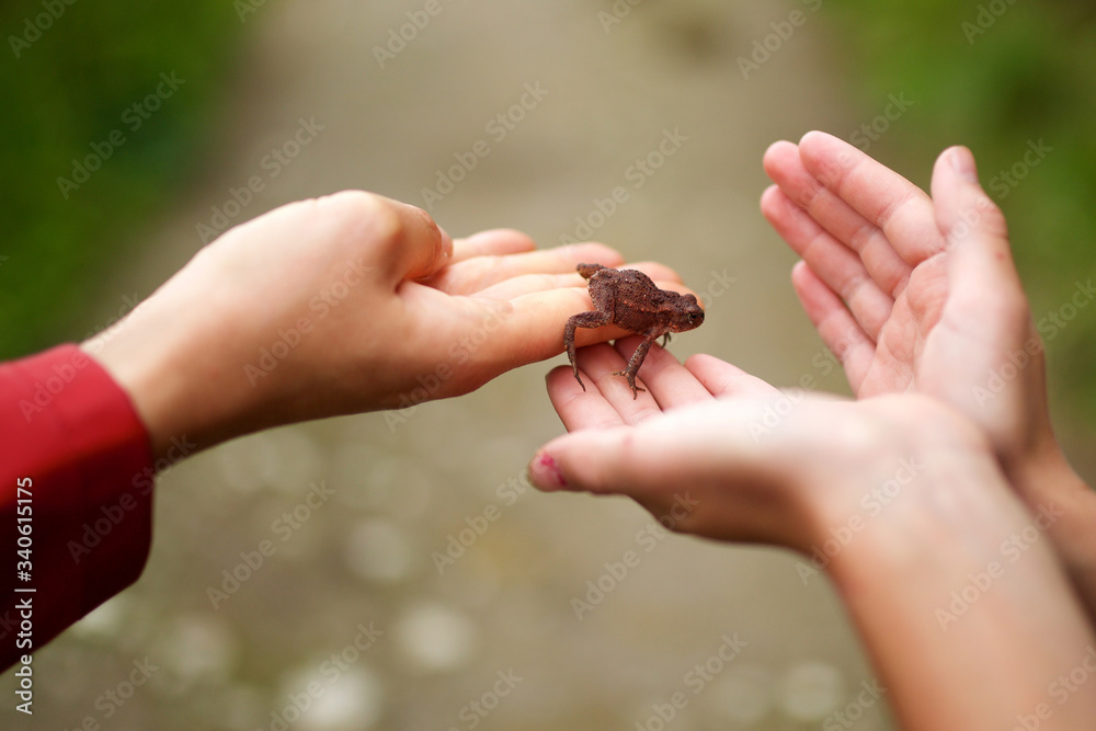 small frog in palm handing off to child hands
