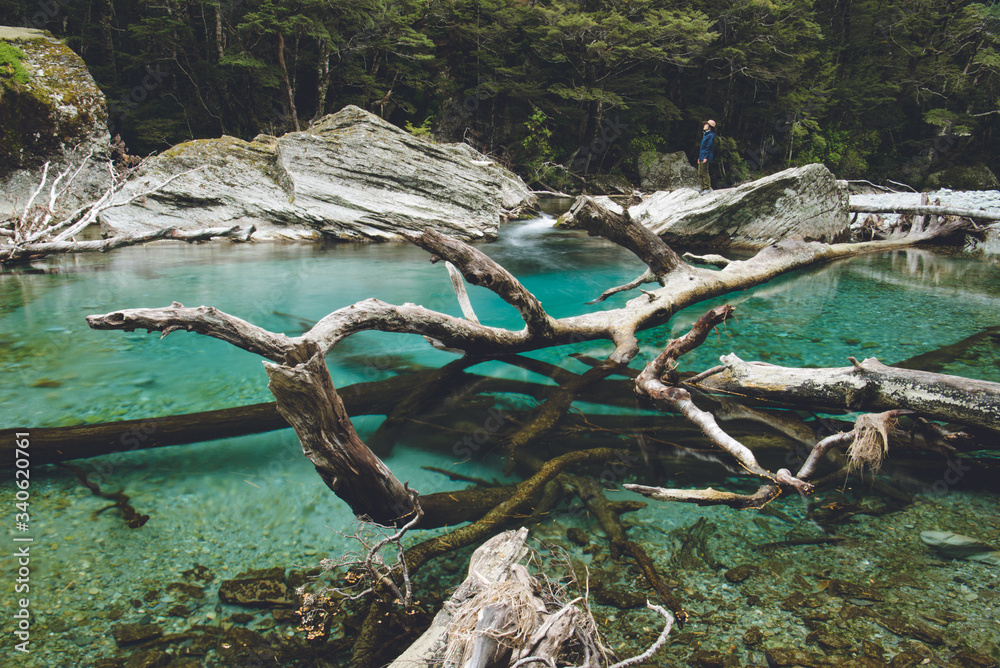Routeburn Track, Fiordland National Park, New Zealand
ルートバーントラック, フィヨルドランド国立公園, ニュージーランド