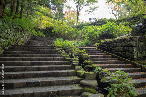 Beautiful scene of stone stairs with fresh green trees in Nikko s World Heritage Sites for background and copy space  Tochigi