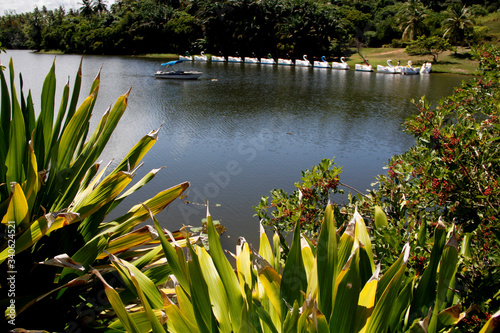 pituacu lagoon in salvador photo