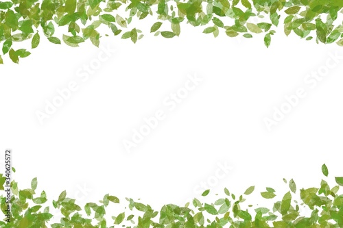 Drawn paint green leaf and grass. Border frame space isolated on white background.