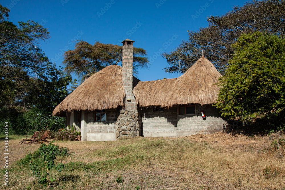 Safari lodge Safari lodge