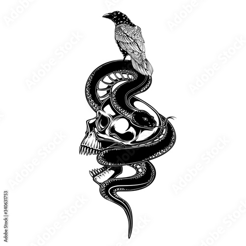 skull raven crow and snake vector illustration. tattoo design. inking black work. hand draw. for t-shirt, card, logo, and wallpaper. photo