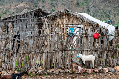 A goat stands on the edge of a tradtional hut in Bankouale photo