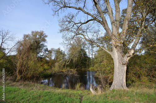 Gutsanlage Criewen in Brandenburg	 photo