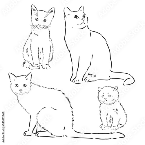 Cats set, vector illustration, hand-drawn cute fluffy cats. domestic cat set vector sketch illustration