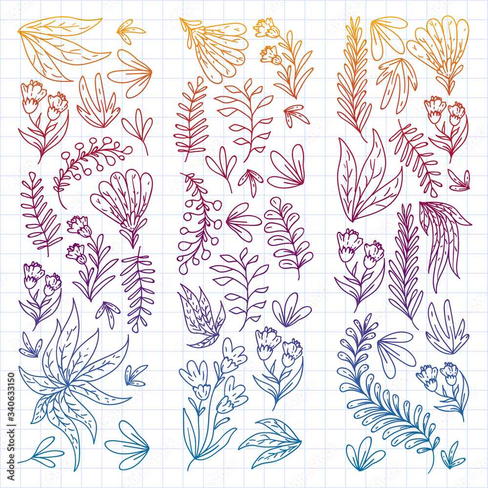 Fototapeta premium Hand vector drawn floral, leaves elements. Pattern for logo, greeting card, wedding design.
