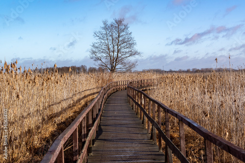 Narwia  ski Park Narodowy. Rzeka Narew. Szosa Kruszewska  Waniewo  Kurowo  Podlasie  Polska