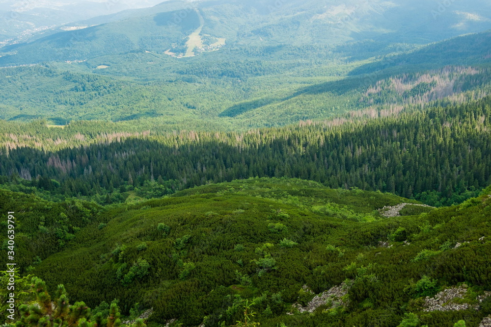 Fototapeta premium Babia Góra , Poland