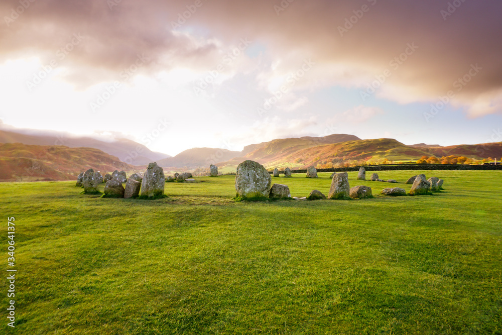 Obraz premium rural landscape with cows