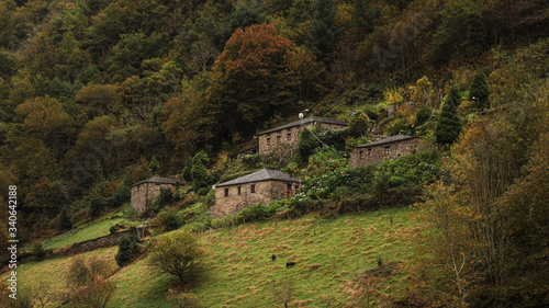 Pueblo en la ladera de una montaña en mitad del bosque