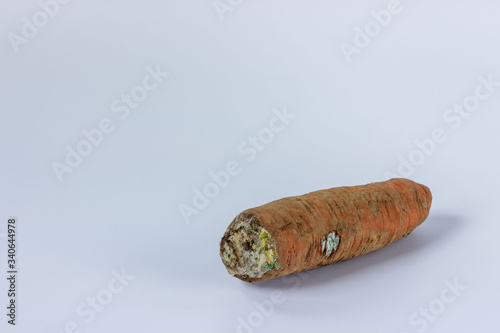 Ugly dirty spoiled organic carrot  on a white background  with copy space. Food waste concept. Horizontal orientation.