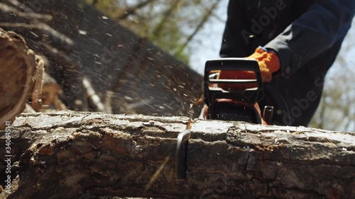 man saws a log with a chainsaw, slow motion