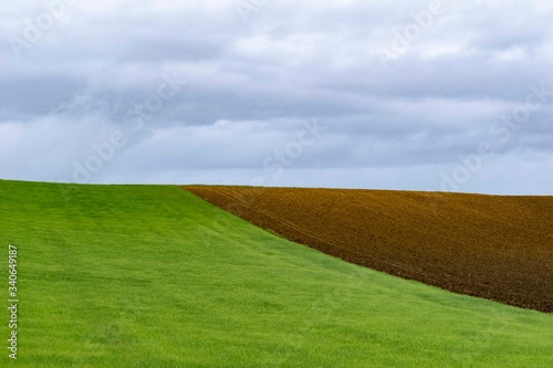 field and sky