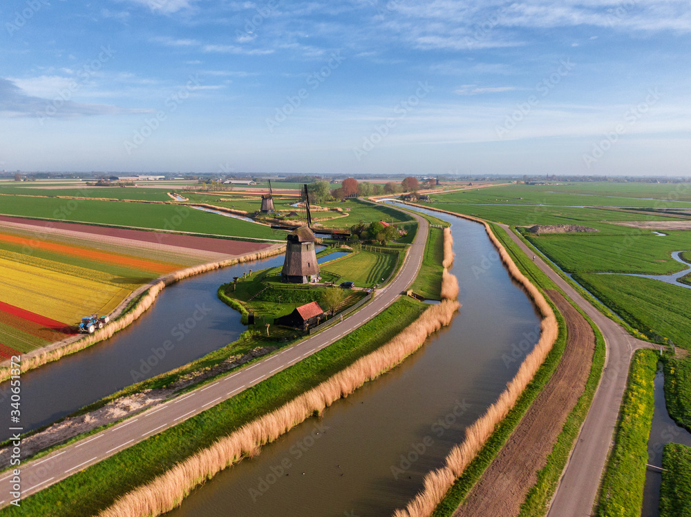 Aerial view of Dutch agricultural spring scene with classic windmill, coloured tulip field and water