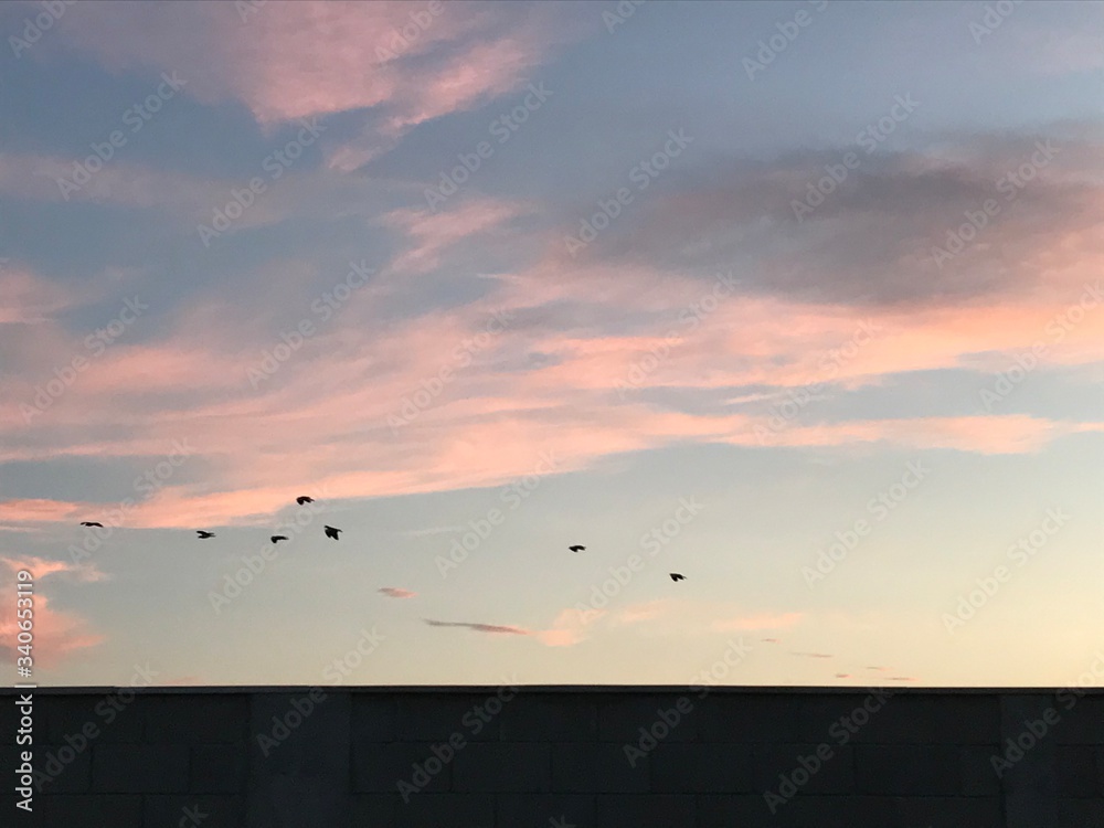 Obraz premium sunset over the sea