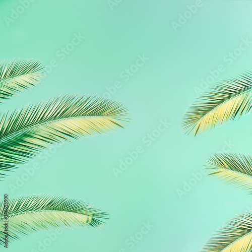 Tropical palm tree with sunlight on mint colored background with copy space. Summer vacation and nature travel concept. Vintage tone filter effect.