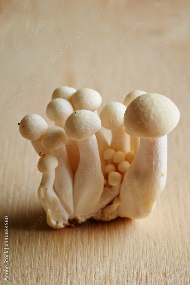 Fototapeta premium Bunashimeji, Japanese white beech mushroom 