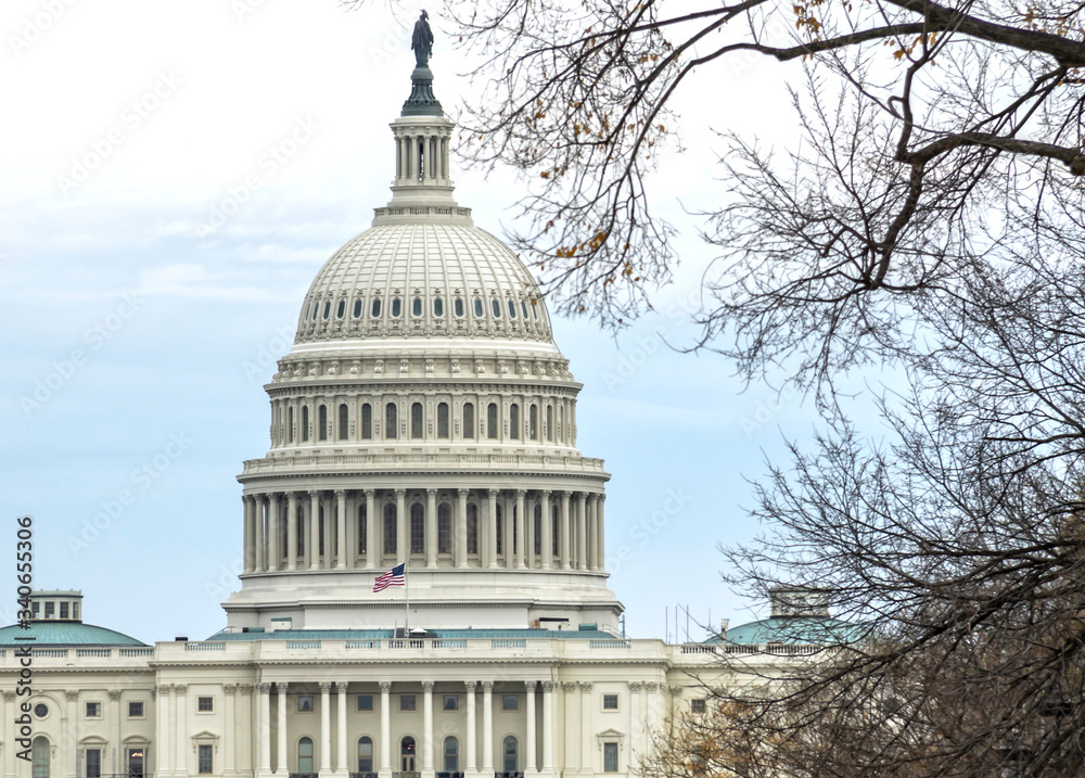 Obraz premium Washington DC - US Capitol building