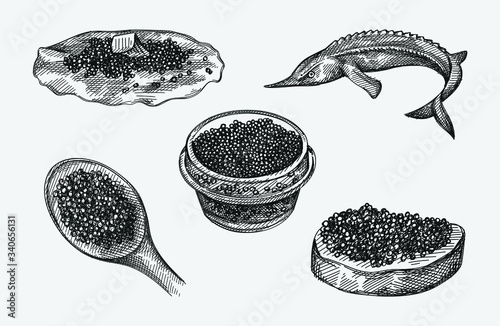 Hand-drawn set of caviar. Caviar on a spoon, in a glass jar, on a bread slice, on a pancake, ossetra fish. Black caviar. Sea food. Caviar canapé