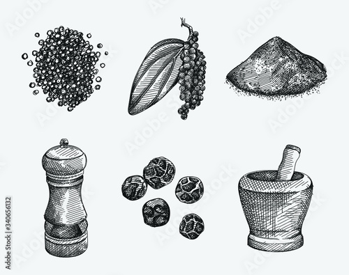 Hand-drawn set of black pepper. Handful of pepper, peppercorns, pepper powder, branch with a leaf, black pepper grinder, bowl for spice grinding. Spice and seasoning