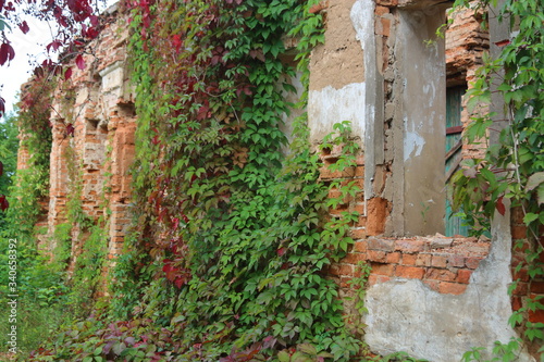 Fototapeta Naklejka Na Ścianę i Meble -  green bushes on an abandoned castle