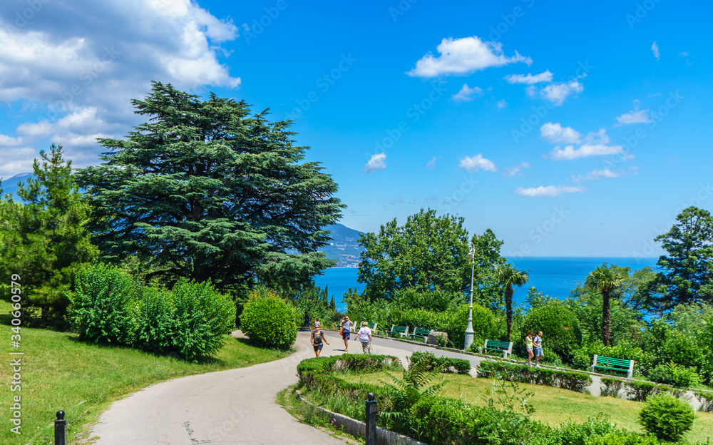 Park of the Livadia Palace in Crimea
