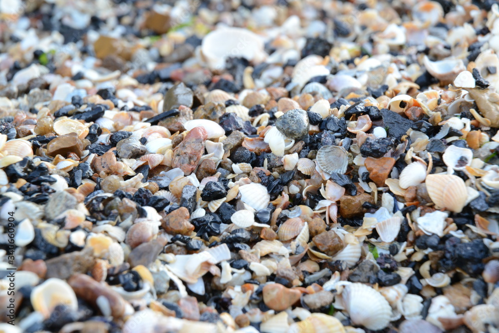macro photo of sand on a sea beach